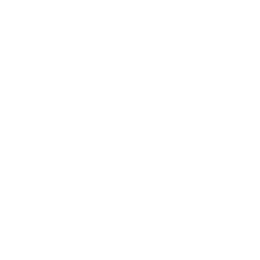 Minneosta seal